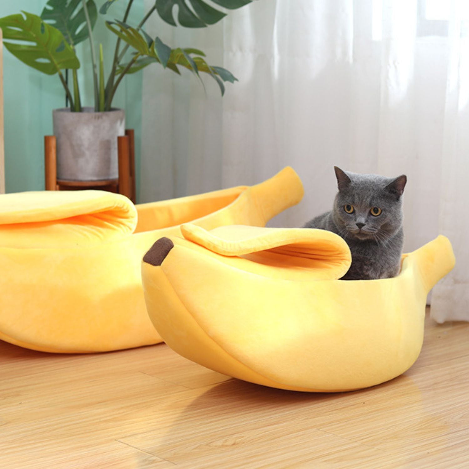 Banaan Honden en KattenmandKat in een banaanvormig bed in de zon